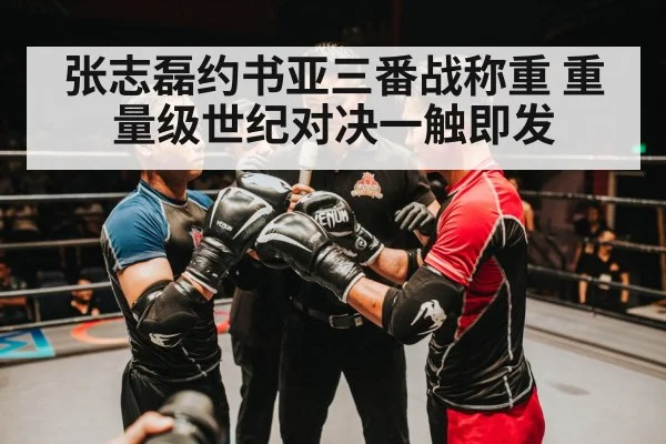 张志磊约书亚三番战称重 重量级世纪对决一触即发