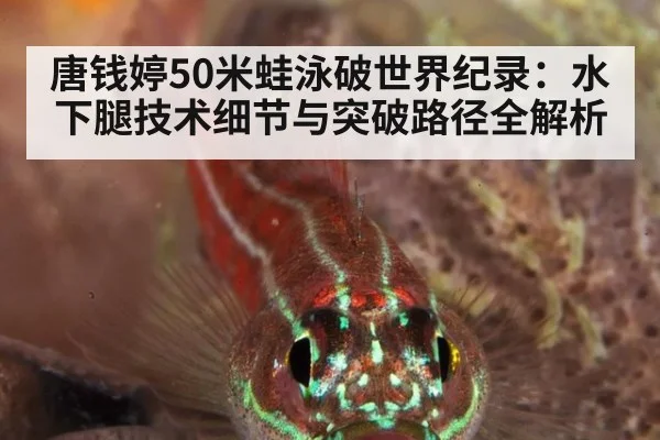 唐钱婷50米蛙泳破世界纪录：水下腿技术细节与突破路径全解析