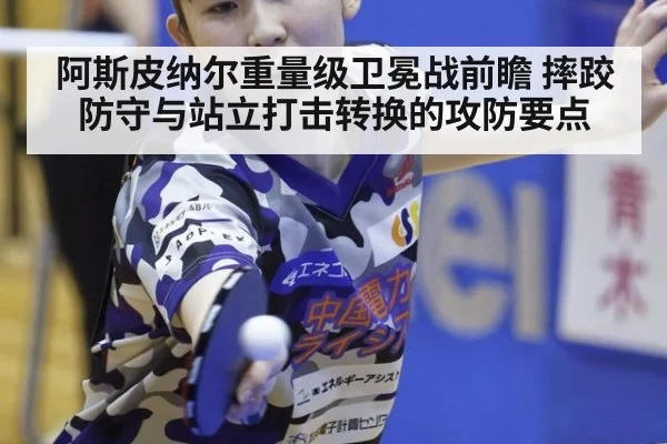 阿斯皮纳尔重量级卫冕战前瞻 摔跤防守与站立打击转换的攻防要点